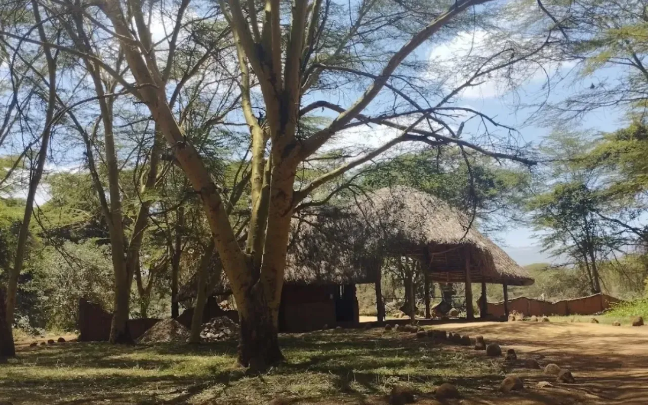 Lewa 2