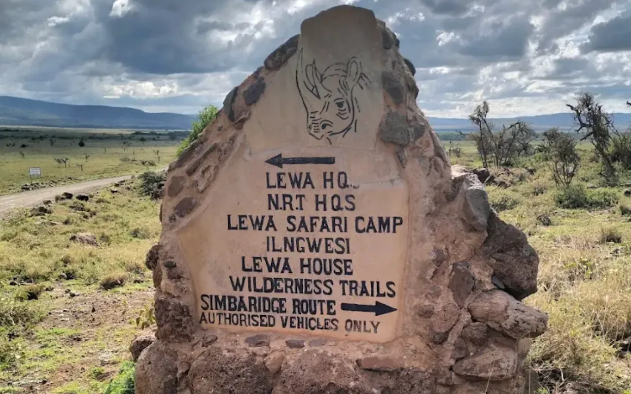 Lewa 4