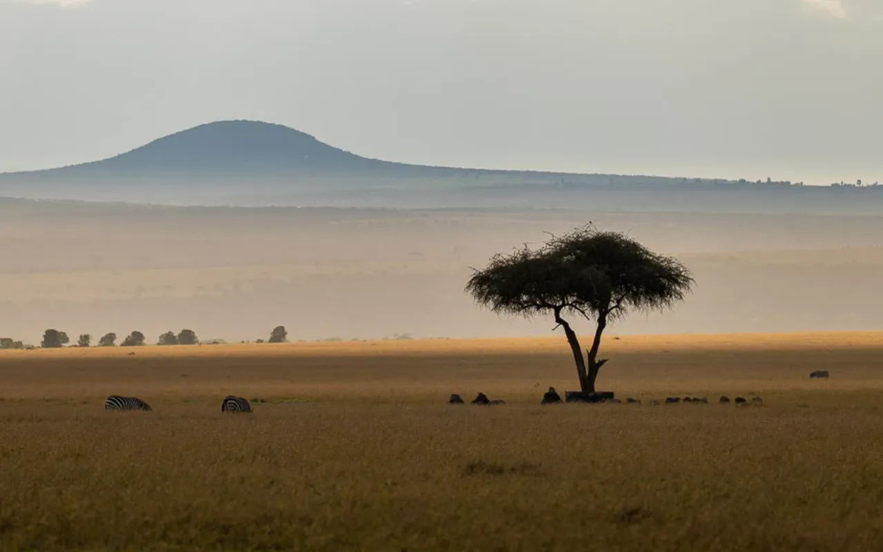 Olpejeta 1