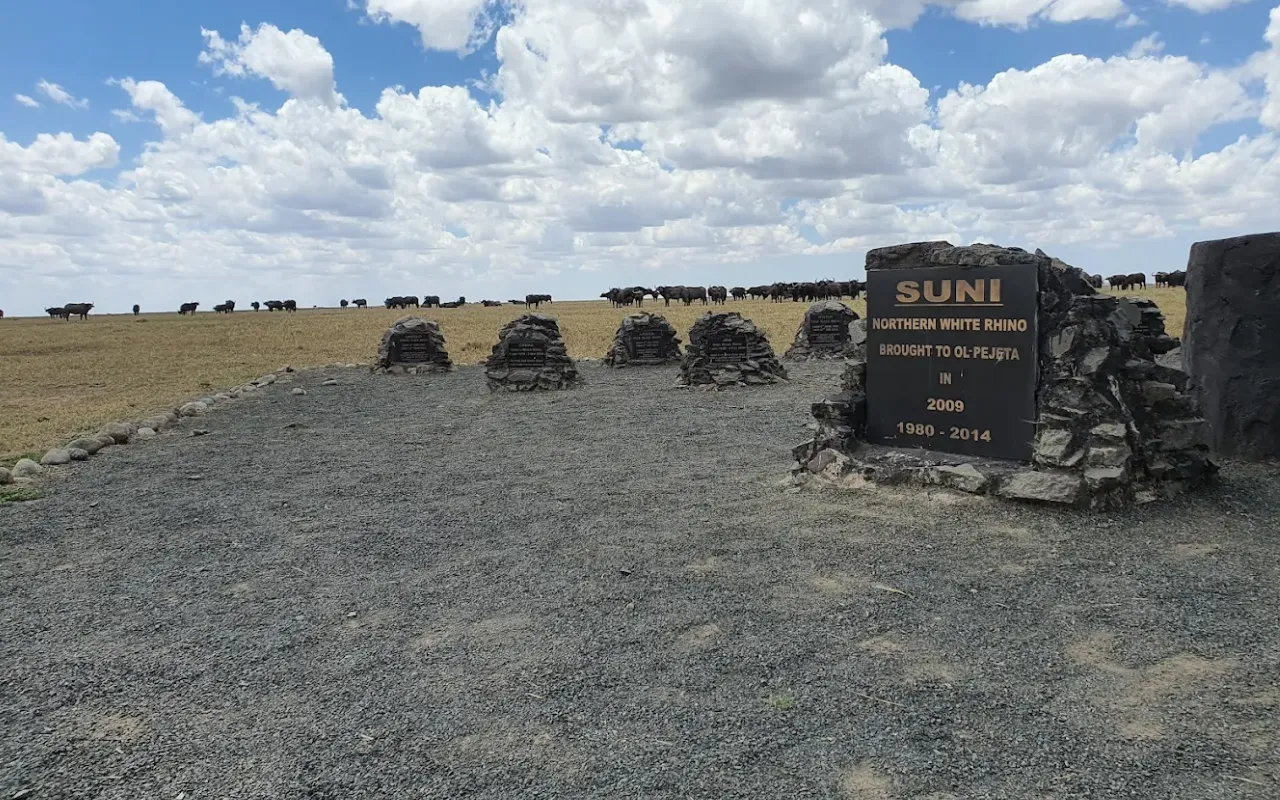 Olpejeta 3